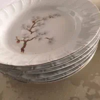 ظروف شیک|ظروف سرو و پذیرایی|کرج, عظیمیه|دیوار