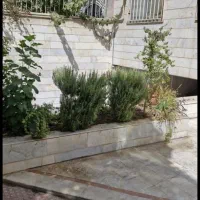 ۴۶متر دولاب|فروش آپارتمان|تهران, مینای جنوبی|دیوار