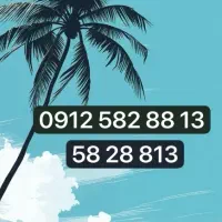 9125828813