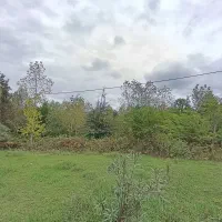 فروش زمین ۷۲۰متر سند تک برگ مسکونی زیر قیمت منطقه|فروش زمین و ملک کلنگی|رشت, بازار|دیوار