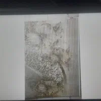 پرده زبرا