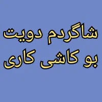 شاگرد میخوام واسه کاشی کاری