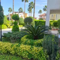 اصلاح نگه داشت سم پاشی باغبانی