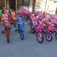 آریا چرخ 12 16 20