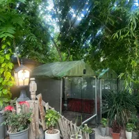 اشپز و کمک اشپز|استخدام خدمات فروشگاه و رستوران|تهران, دریاچه شهدای خلیج فارس|دیوار