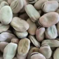 حراج باقله