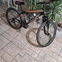 دوچرخه تنه ۲۶ ویوا