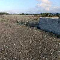 فروش زمین۵۰۰متری گرگان،فیض آباد|فروش زمین و ملک کلنگی|گرگان, |دیوار