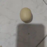 سنگ اسیاب الماس اصلی با تست|کلکسیون اشیاء عتیقه|مشهد, بهمن|دیوار