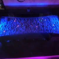 میز ناهار خوری ۸ نفره|میز و صندلی غذاخوری|کرج, شاهینویلا|دیوار