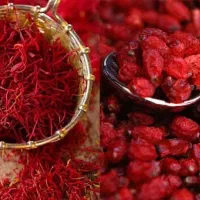 زعفران و زرشک تازه قاینات