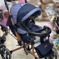 کالسکه دلیجان|کالسکه و لوازم جانبی|اهواز, کمپلو جنوبی|دیوار