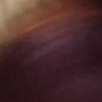 فروش حیوان خانگی سگ پامر روباه۴|سگ|محمدشهر, شهرک پیام (مهرالبرز)|دیوار