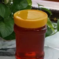 عسل کنار چهار محال