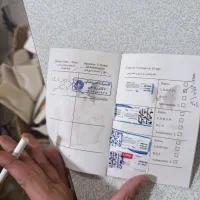 نگهبانی|سگ|پاکدشت, پاکدشت (مامازند)|دیوار