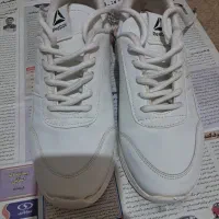 کتونی ریبوک