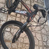 دوچرخه|دوچرخه، اسکیت، اسکوتر|قرچک, زیبا شهر|دیوار