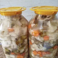 شوکلم