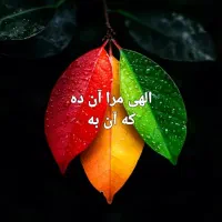 آرایشگاه زنانه