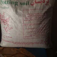 خاک هلندی  انواع گل