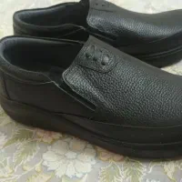 کفش کار ۴۲ نو|کیف، کفش، کمربند|تهران, بهداشت|دیوار