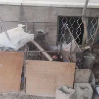 قفس پرنده