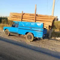 خرید انواع چوب تر و خشک میلانی|خدمات باغبانی و درختکاری|چالدران, |دیوار