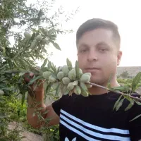 بادام شکوفه|خدمات باغبانی و درختکاری|سنندج, |دیوار