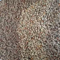 لوبیا جیرفتی یامحلی قیمت مناسب|خوردنی و آشامیدنی|رودخانه, |دیوار