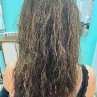 احیاء وصافی