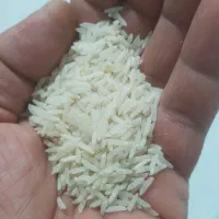 برنج محلی استان گلستان ازادشهر وحومه