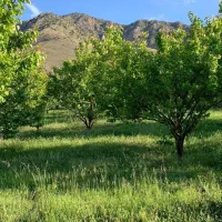 فروش باغ چهارمحال و بختیاری