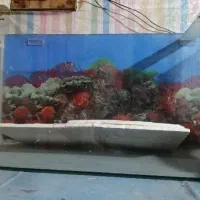 شیشه اکواریوم