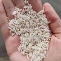 برنج هاشمی الک کارخانه خوش عطر و طعم