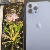 iphone 13 pro max 128gb ch|موبایل|بندرعباس, |دیوار