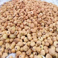 انجیر درجه یک با قیمت عالی
