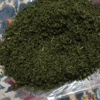 شوید خشک تازه