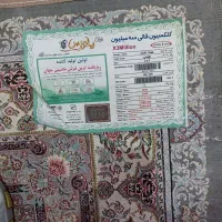 فرش 6متری پاتریس|فرش|تهران, تختی|دیوار