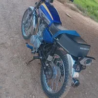 متور