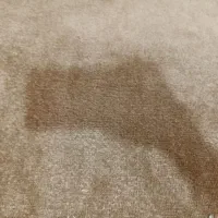 موکت پالاز قهوه‌ی ساده