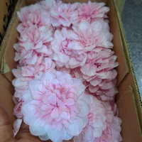 گل مصنوعی سر گل کوکب|گل مصنوعی|تهران, بروجردی|دیوار