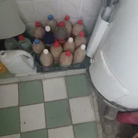 بذر|عمدهفروشی|کوهدشت, |دیوار