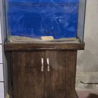 اکواریوم به همراه میز