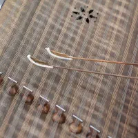 کوک دستگاه سنتور