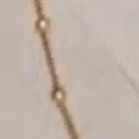 گردنبند گم کرده ایم
