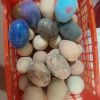 تخم مرغ سفالی