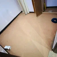 موکت دست دوم قیمت مناسب|موکت|دوگنبدان, |دیوار