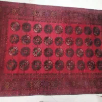 فرش دست باف|فرش|شیروان (خراسان), |دیوار