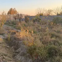 باغچه ۴دیواری|فروش زمین و ملک کلنگی|رباط‌کریم, انجم آباد|دیوار