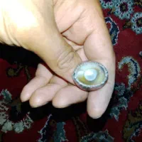 باباغوری